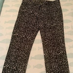 Express Columnist STRETCH Ankle Pants